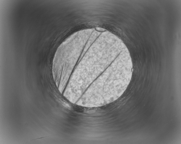 X0000068821201200606021608
