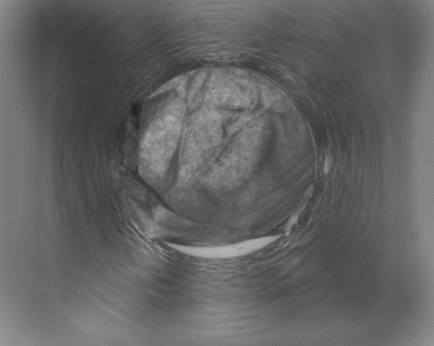X0000068821202200606021608