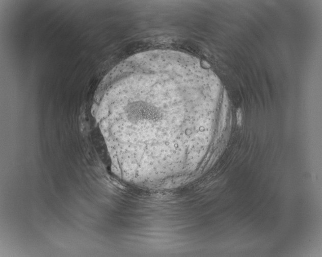X0000068821203200606021608