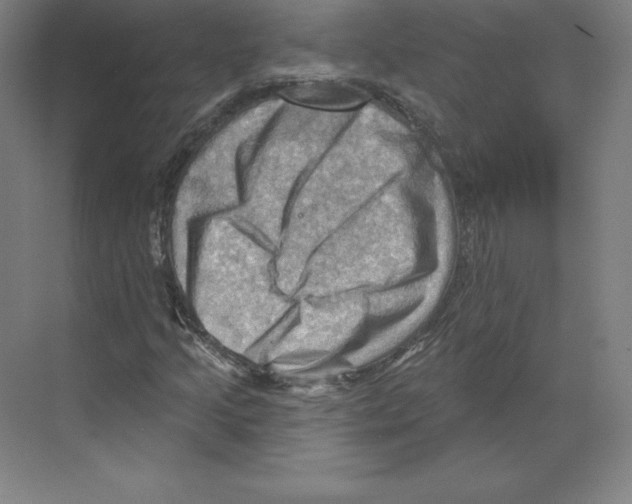 X0000068821205200606021608