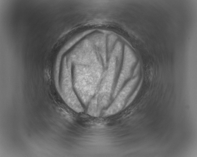 X0000068821206200606021608