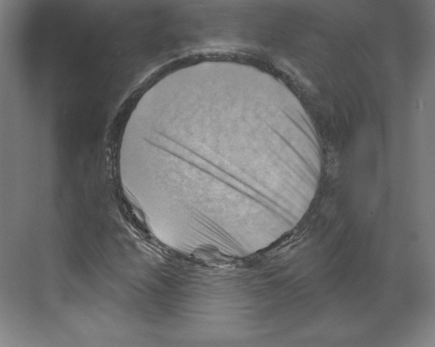 X0000068821208200606021608