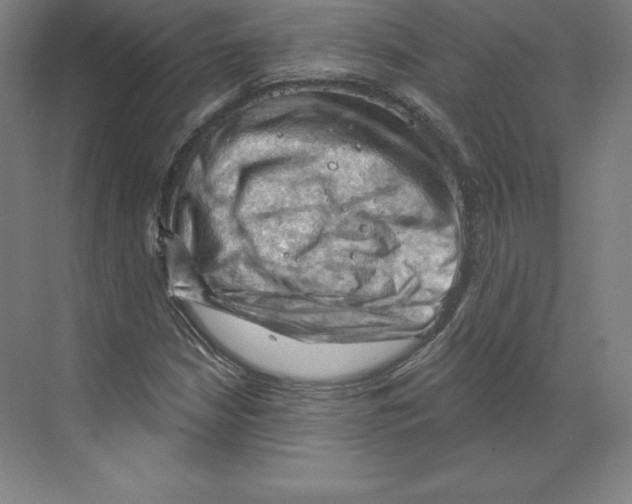 X0000068821210200606021608