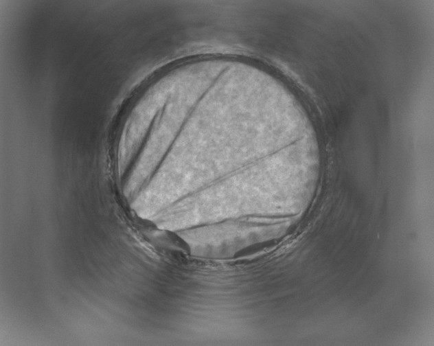 X0000068821215200606021608