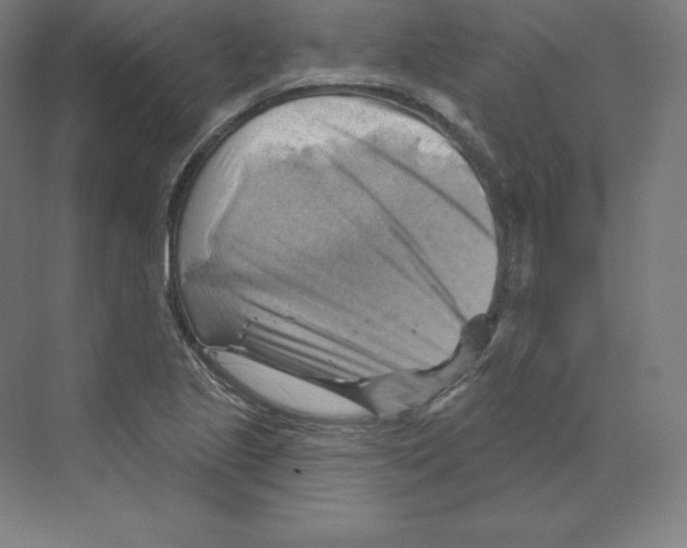 X0000068821221200606021608
