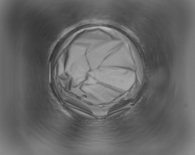 X0000068821223200606021608