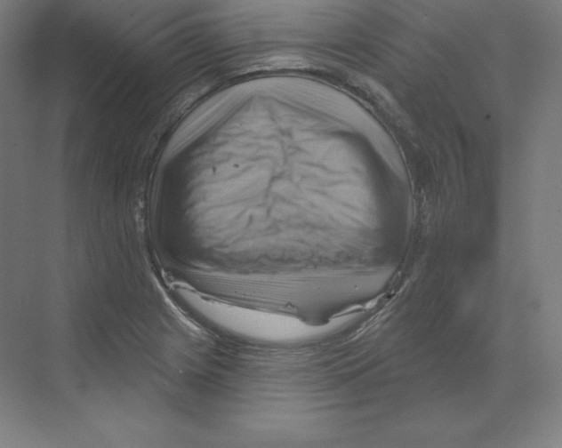 X0000068821225200606021608