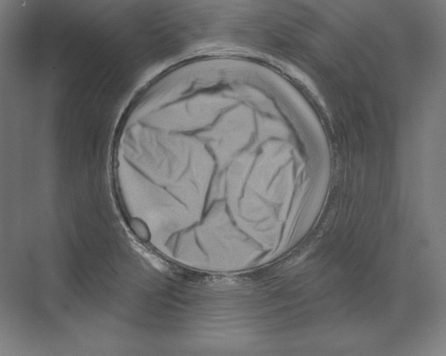 X0000068821231200606021608