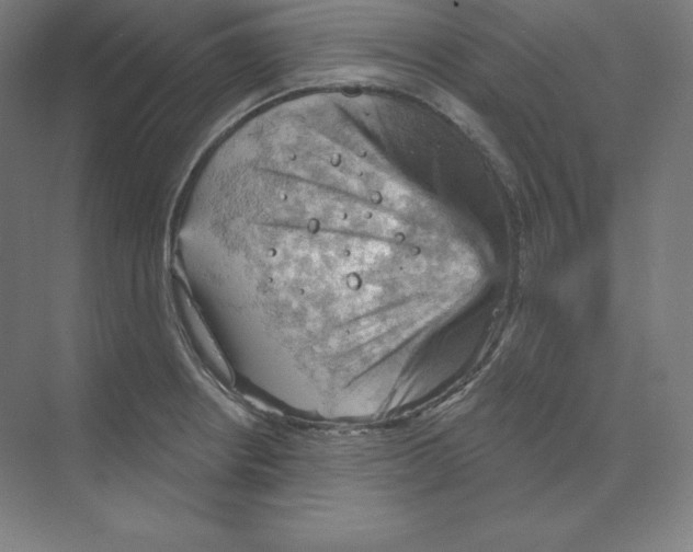 X0000068821234200606021608