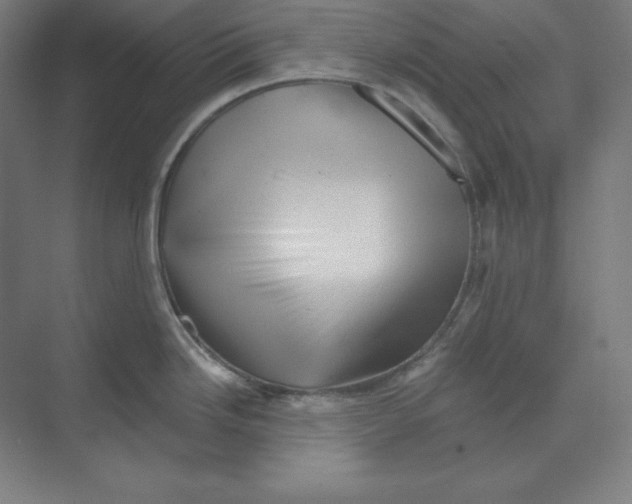 X0000068821246200606021609