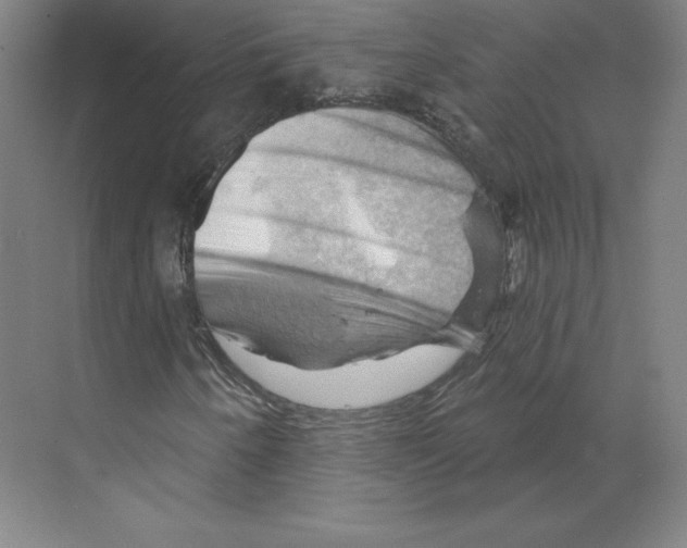 X0000068821250200606021608