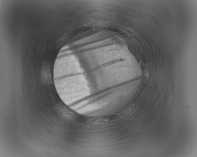 X0000068821252200606021608