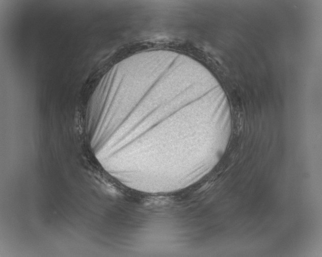 X0000068821253200606021608