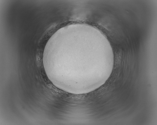 X0000068821254200606021608