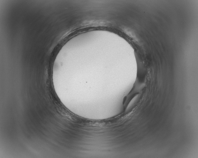 X0000068821261200606021608
