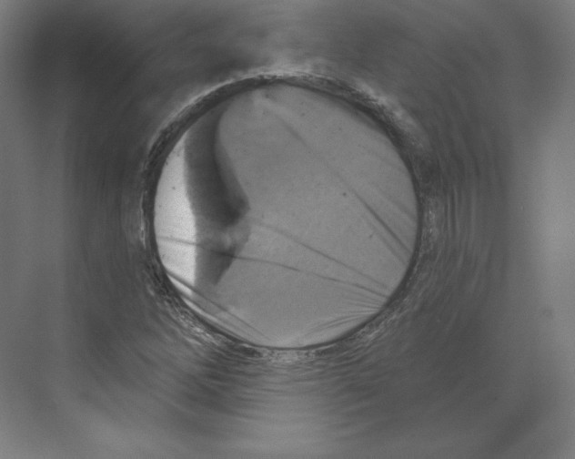 X0000068821262200606021608