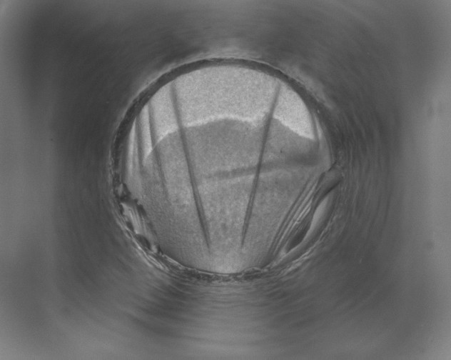 X0000068821264200606021608