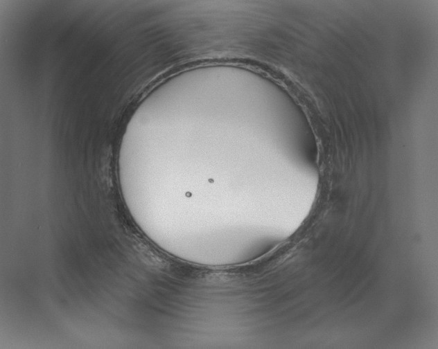 X0000068821265200606021608