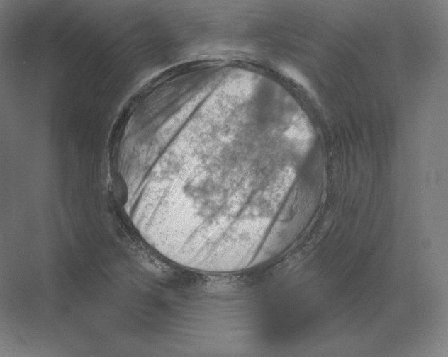 X0000068821267200606021607