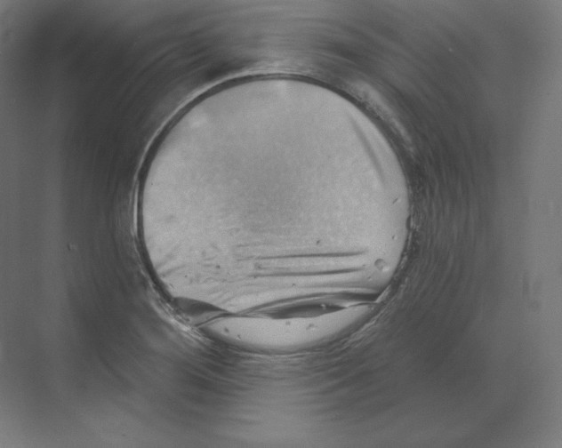 X0000068821276200606021607