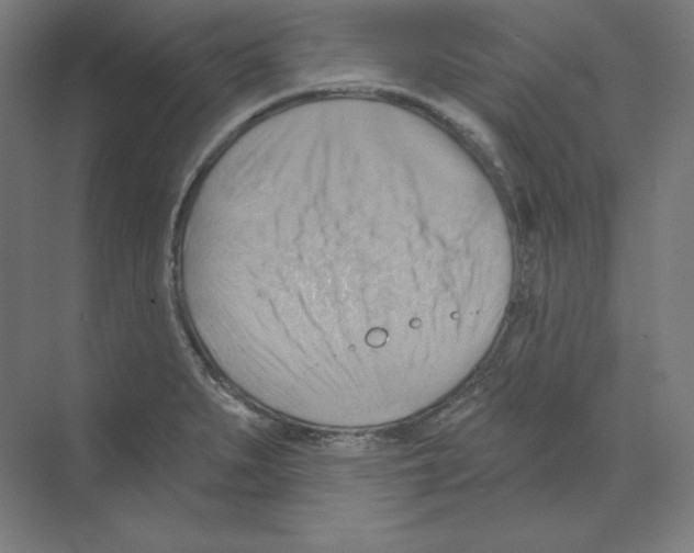 X0000068821279200606021607
