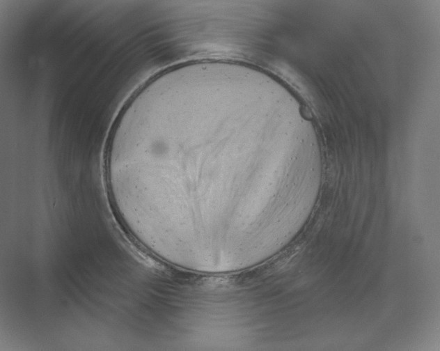 X0000068821283200606021607