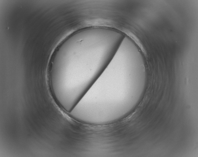X0000068821285200606021607