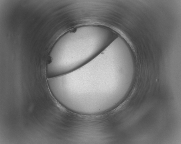 X0000068821289200606021607