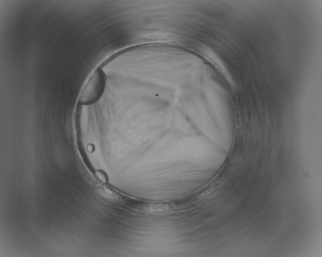 X0000068821291200606021607