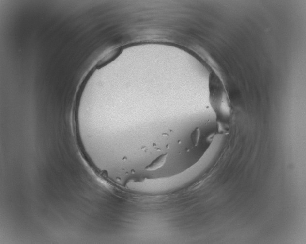X0000068821293200606021607