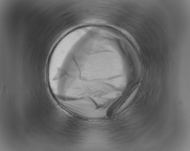 X0000068821295200606021607