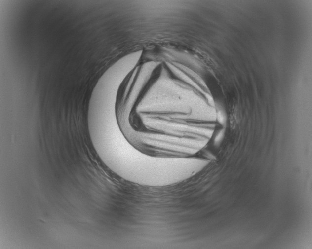 X0000068821298200606021606