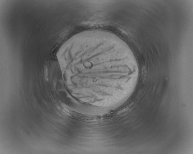 X0000068821300200606021606