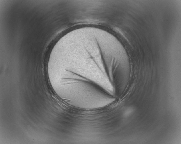 X0000068821307200606021606