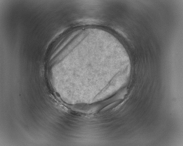 X0000068821309200606021606
