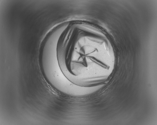 X0000068821312200606021606