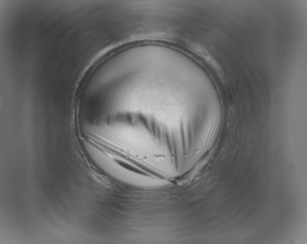 X0000068821316200606021607
