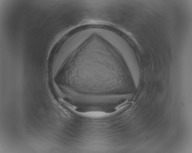 X0000068821319200606021607