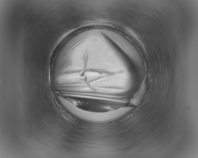 X0000068821320200606021607