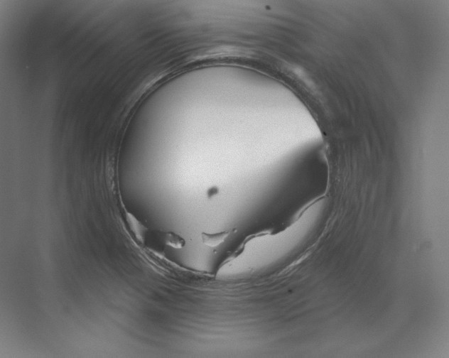 X0000068821321200606021607