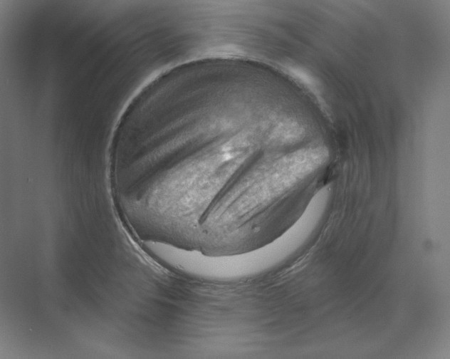 X0000068821326200606021607
