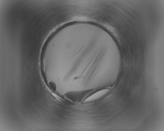 X0000068821327200606021607