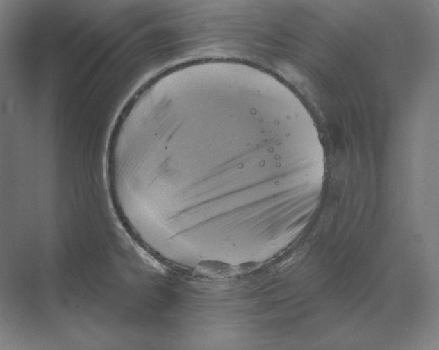 X0000068821334200606021607