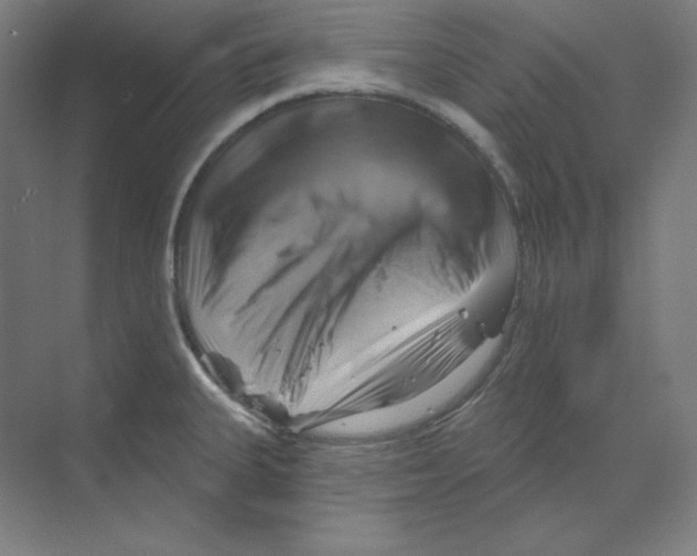 X0000068821335200606021607