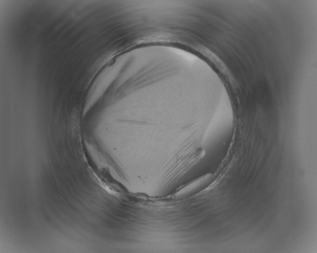 X0000068821337200606021607