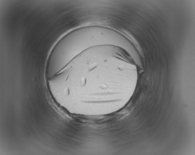 X0000068821340200606021607