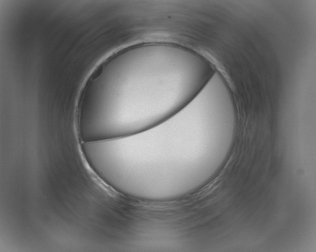 X0000068821342200606021607