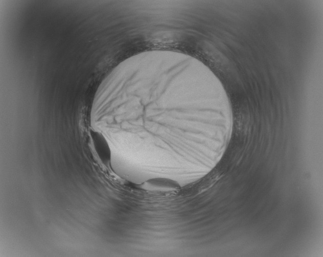 X0000068821346200606021606