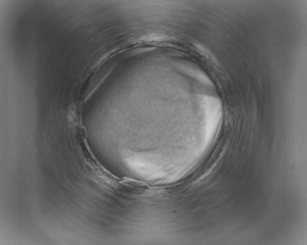 X0000068821353200606021606