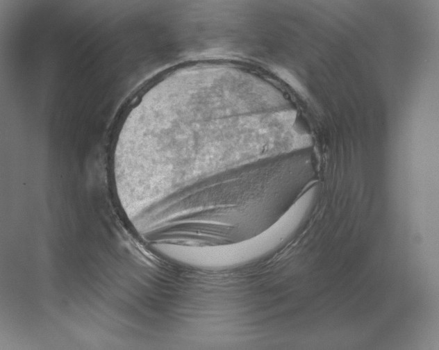 X0000068821356200606021606